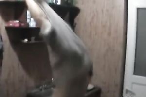 Two non-professional hoes share a ramrod after taking a shower jointly