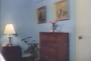 Slutty and wazoo floozy with dark hair acquires drilled on the couch