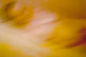 Hot homemade solo with my fat BBC slut washing her cookie in the shower