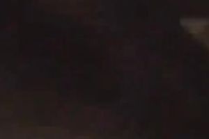 Lustful non-professional woman shows her cock-sucking skills to a dude