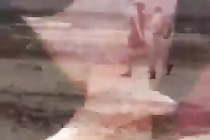 Beautiful dark brown playgirl is engulfing my large schlong on a beach