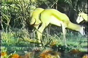 Beautiful lean blondie in white lingerie gives remarkable oral sex