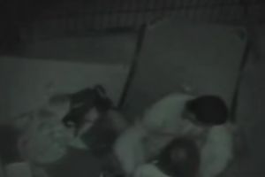 I love it when my girlfriend rides my knob in cowgirl position