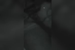 I love it when my girlfriend rides my knob in cowgirl position