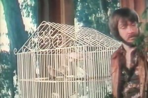 Sweet blondie gives head to her boss and kisses her GF