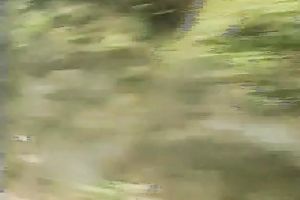 Redhead doxy blows outdoors and enjoys it from behind