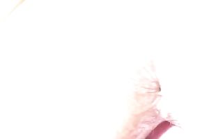 Close up POV with me fucking my wife's unshaved bawdy cleft