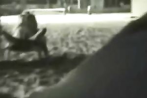 Spying on a concupiscent pair late in the evening on the beach