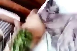 I could see my large boobed Arab housewife dance all day