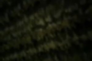 My paramour pulls her belt aside and welcomes my shlong in her muff