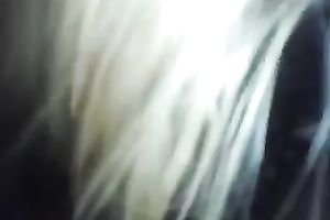 Fine POV movie scene with a sexually excited blond hoe engulfing my pecker