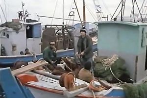 Arrogant golden-haired chick ardently sucks and rides her lover's rod