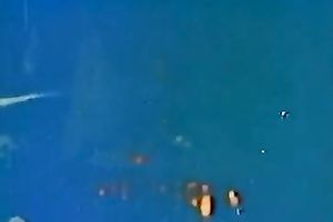 Feverish dark mustached dawg invades enchanting kitty of busty dark brown chick