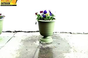 Naughty brunette hair in lengthy petticoat and nylons makes water on the flowers