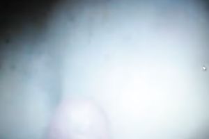 Highly experienced floozy sucks my jock like there is no the next day