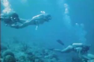 The classic slim blond playgirl in the yacht with her boyfriend