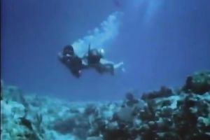 The classic slim blond playgirl in the yacht with her boyfriend