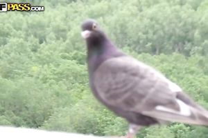 Amazing POV movie scene with a cute dilettante blond engulfing a shlong