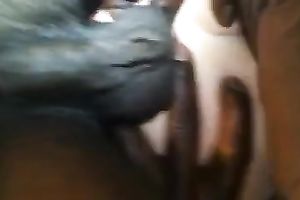 I am so obsessed with my husband's thick dark wang