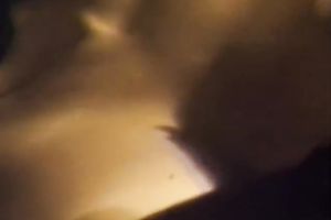 Sex hungry dark brown babe fingerfucks her curly kitty ardently