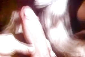 Couple of fuck starving hootchies attacked honeyed pecker