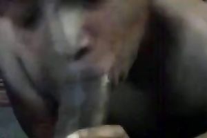 My breasty dark wife sucks my pecker and licks her bumpers afterward