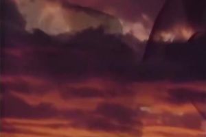 Hot sheboy gives blowjob to a excited dude after getting one from him