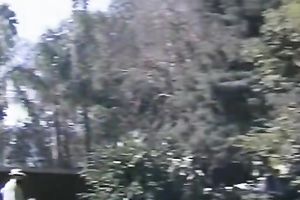 Street walker lady-boy gives unfathomable mouth cock engulf outdoors