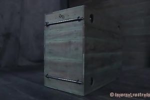 Busty dark brown with collar on her neck gives oral to her taskmaster