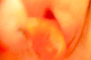 I did not know that my pussy looks so captivating on the web camera