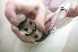 Petite nympho in crotchless hose copulates her cunt with her glass sex-toy