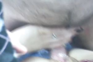 Two slender dilettante gals make out with every other and share a rod