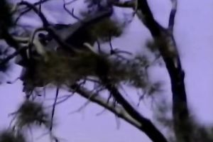 Hot blooded chaps met torrid sex pots to receive completely gratified