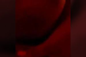 The stretchy brown muff of my horny white wife and her majestic billibongs