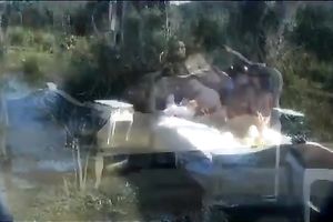 Two lusty doxies fuck one excited guy outdoors in trio