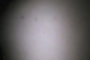 Fat white lascivious neighbor white lady asked me to fuck her