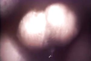 Lusty ebony babe gave unfathomable face hole irrumation to one perverted white dawg