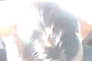 Sexy Caribbean sweetie shows me her brown hairy cookie in my car