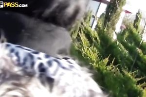 Sexy brunette hair harlot receives her hairless muff gangbanged in a car