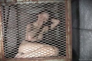 Lusty honey bounded in cage happy by one more serf after tortures