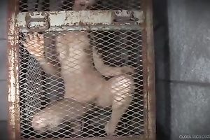 Lusty honey bounded in cage happy by one more serf after tortures