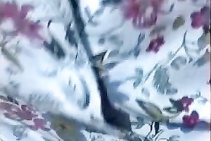 Compilation movie scene with dilettante hotties fingering their pussies