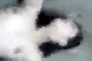 POV episode with my ex GF engulfing my schlong and getting facialed