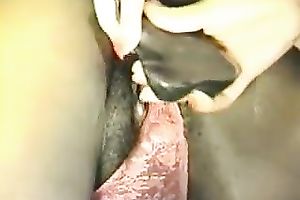 Voluptuous angels making love and licking each others cunts