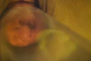 Homemade video with my horny white wife getting her muff pumped by me