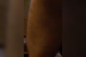 I screwed this indecent wench indeed hard in the sauna