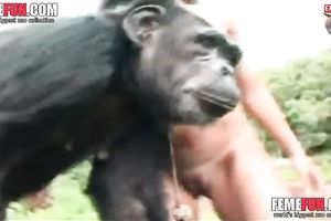 Amateur sisters enjoying the Chimp's dick in their mouths