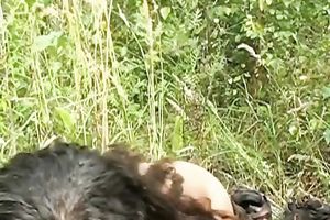 Dark skin amateur whore outdoors gives head and tastes cum