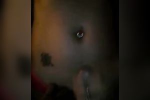 Neat hoe with pierced navel strokes my wang until I cum