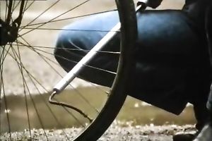 Gorgeous tiny dark brown strokes and sucks so well